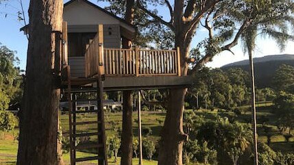 Treehouse accommodation at Austinvilla Estate, Austinville, Gold Coast