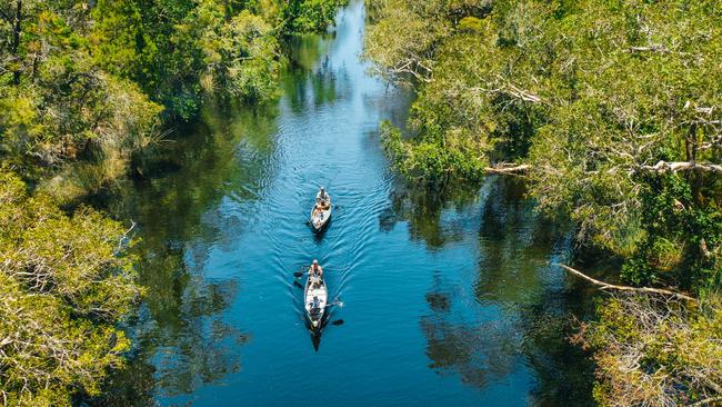 Exploring the Noosa Everglades.