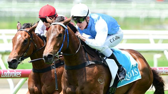 Cody Collis produced a patient ride aboard Secret Sort. Picture: Grant Peters/Trackside Photography.