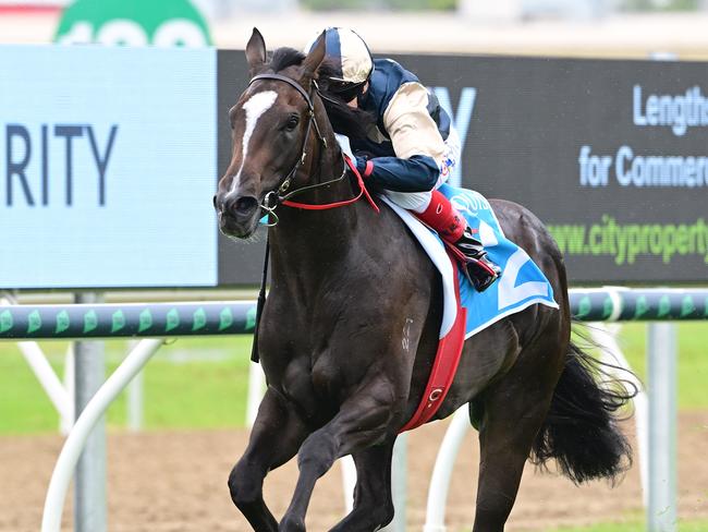 Spywire winning the Aquis Gold Nugget 2yo at the Gold Coast. Picture: Grant Peters/Trackside Photography