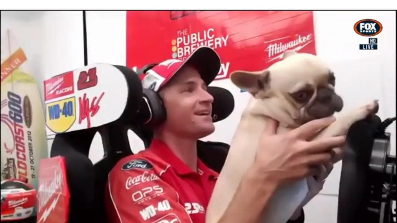 Will Davison shows off his skills in the Supercars Eseries - and his dog's skills too.