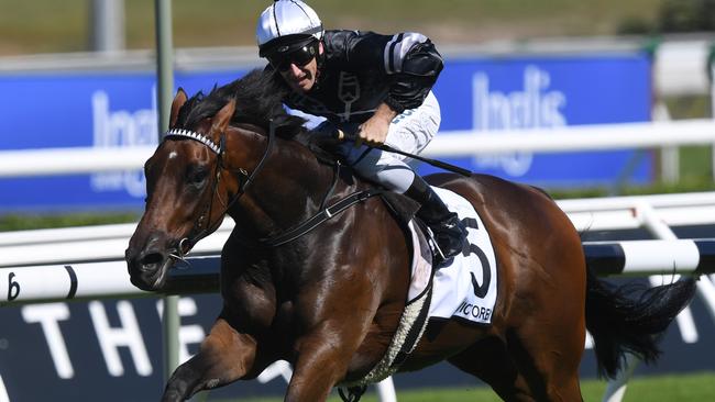 Victorem will be hard to beat in The Kosciuszko. Picture: AAP