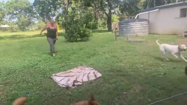 Annette Clifford plays with her eight beloved dogs