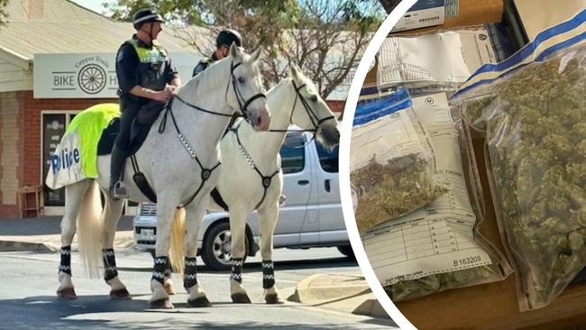 Kadina drug operation artwork for tiser