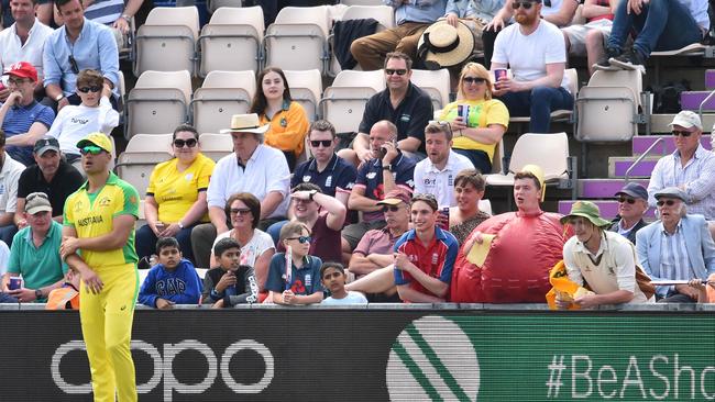 A fan dressed as a cricket ball holds a piece of sandpaper in the crowd