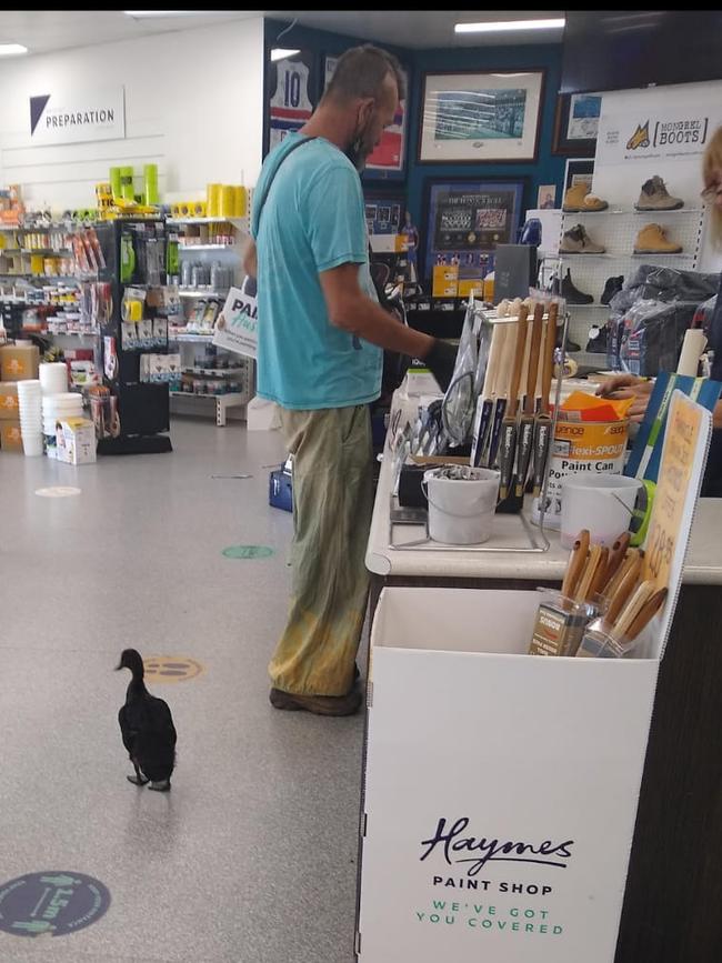 DAK Shopping with his duck.