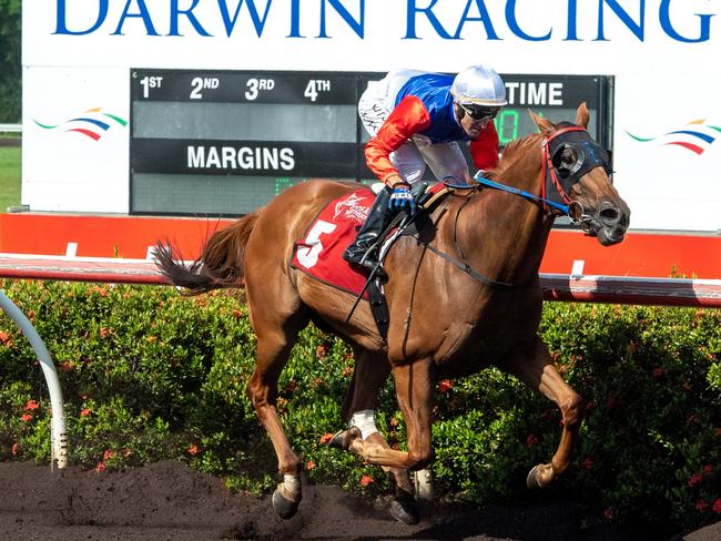 Gary Clarke’s The Captain, with Jarrod Todd aboard, is the favourite for the Palmerston Sprint. Picture: Caroline Camilleri