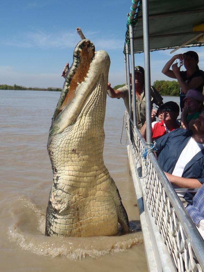 NT NEWS photographer Katrina Bridgeford took this amazing photograph of Brutus, a 5.5m saltwater croc, giving a boatload of tourists a moment they’ll never forget on the Adelaide River. Picture: Katrina Bridgeford