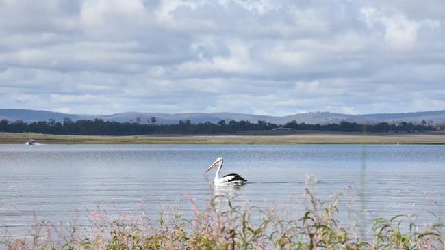 Wildlife enjoying fresh water at Leslie Dam.