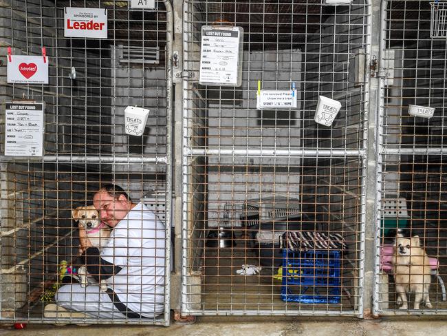 A volunteer worker holds a rescue dog at the Sydney Dogs and Cats Home in 2018 Picture: AAP