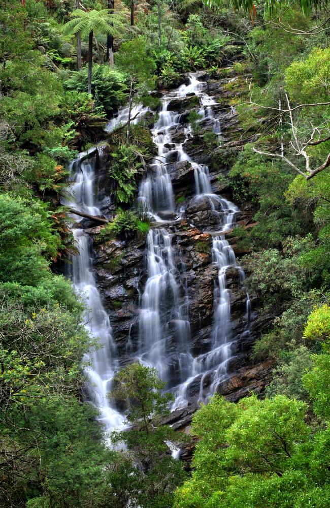 Wombelano Falls in full flow at Kinglake National Park.