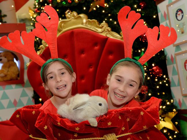 Rabbits, dogs and cats are pets permitted for Santa snaps at Westfield Plenty Valley.