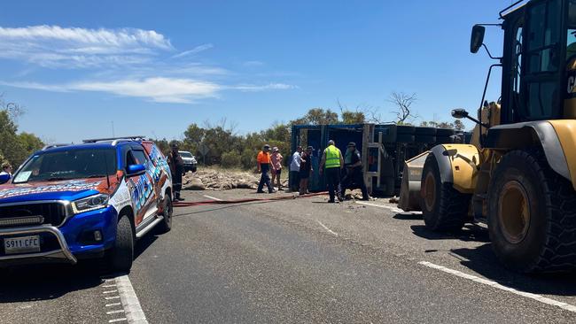 220 sheep were killed after a truck rolled on Dukes Highway at Culburra last month. Picture: Supplied