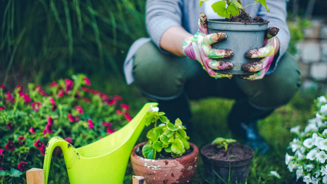 Using grey water (another name for recycled water) is a good way to keep your garden healthy.