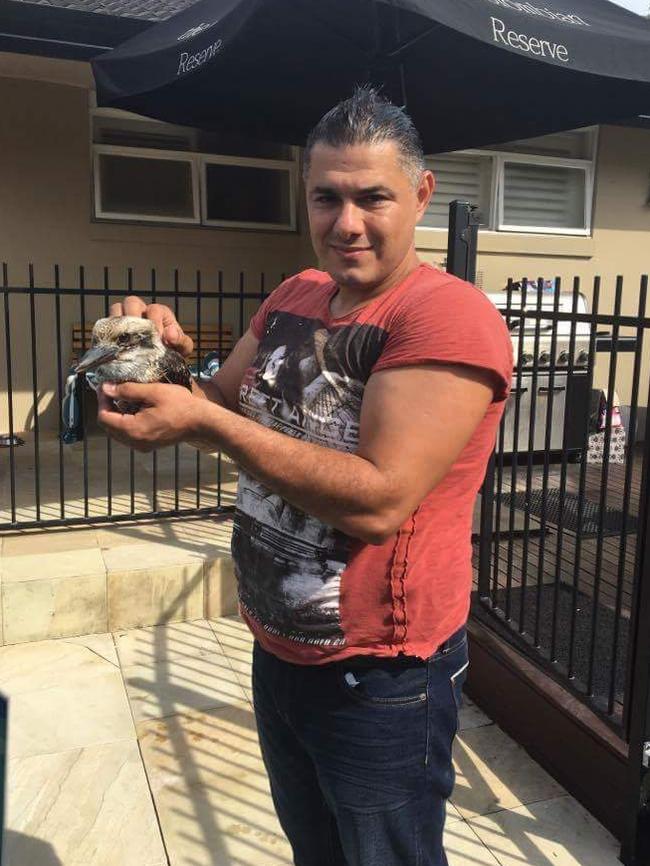 Majid Shahen with the kookaburra after he revived it.