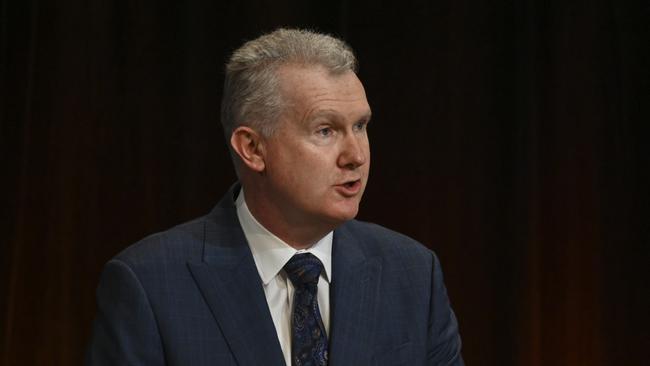 Workplace Minister Tony Burke. Picture: Getty Images