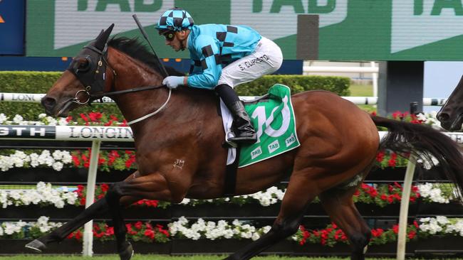 Queensland sprinter Maotai can land another Sydney win. Picture: Grant Guy