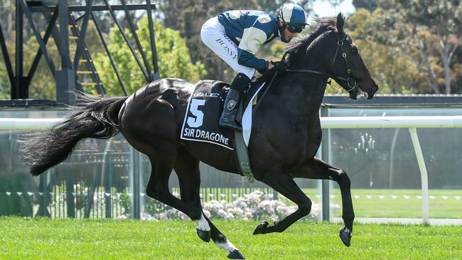 Sir Dragonet finished sixth in the Melbourne Cup at Flemington at his last start before a spell. Picture: Brett Holburt