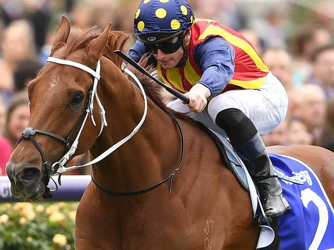 MELBOURNE, AUSTRALIA - NOVEMBER 09: James McDonald riding Nature Strip wins the Darley Sprint Classic during 2019 Stakes Day at Flemington Racecourse on November 09, 2019 in Melbourne, Australia. (Photo by Quinn Rooney/Getty Images)