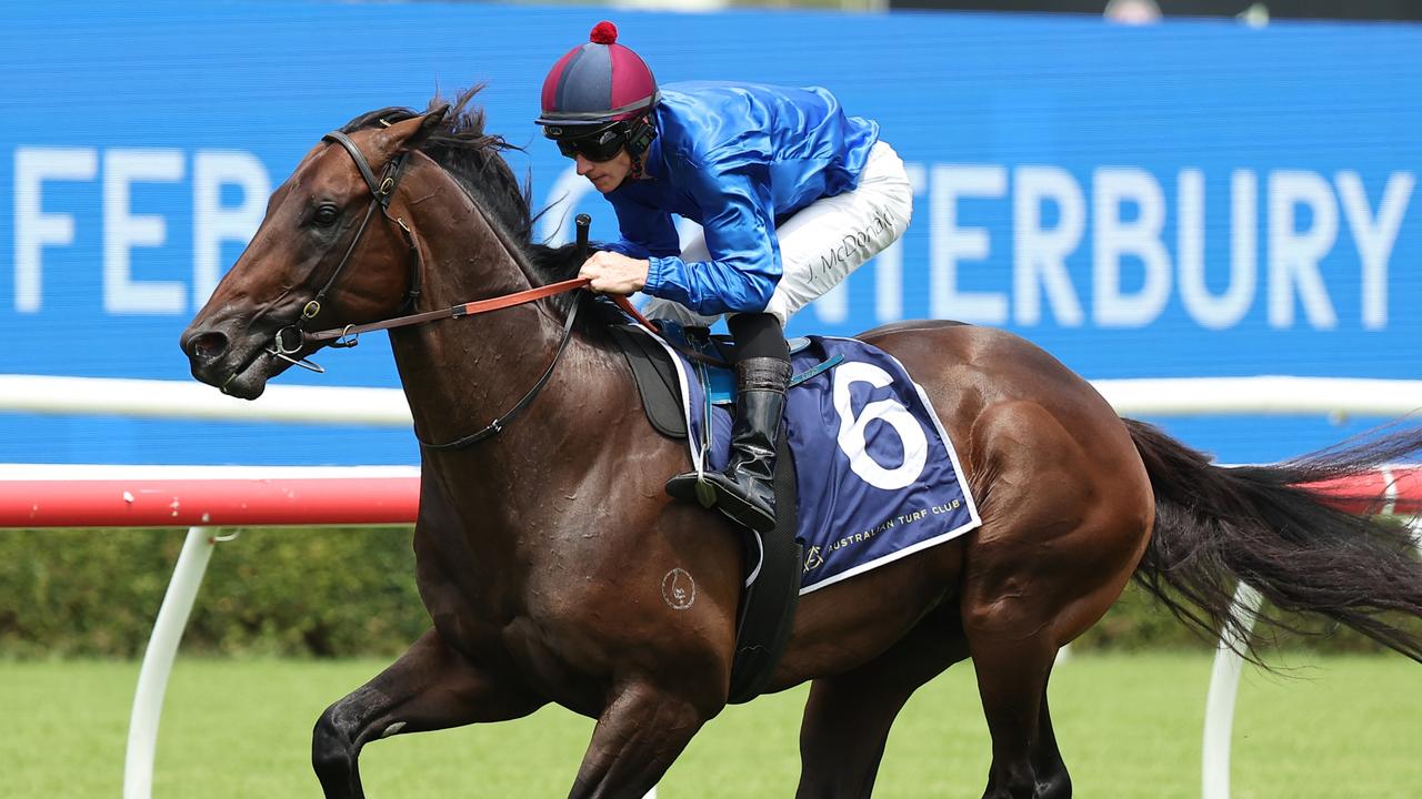 Broadsiding goes through his paces at Randwick earlier this month in preparation for his return in Saturday’s Group 2 Hobartville Stakes at Randwick. Photo: Jeremy Ng/Getty Images.