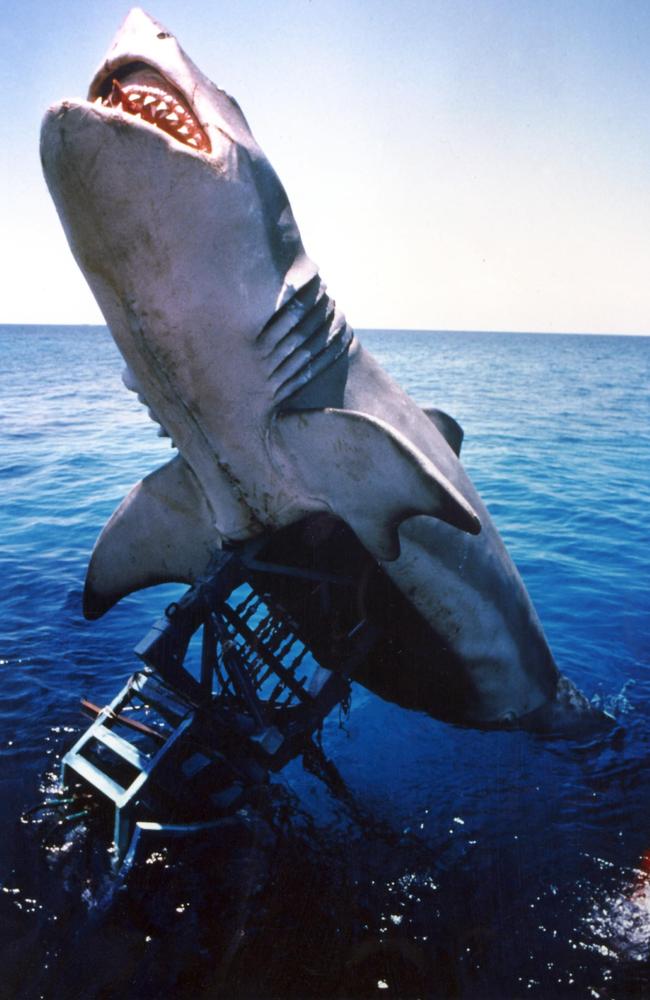 One of the mechanical sharks used in Jaws.