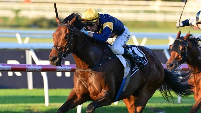 War Machine was elevated to Group 1 Stradbroke Handicap favouritism after his dominant win in the BRC Sprint. Picture: Grant Peters, Trackside Photography.