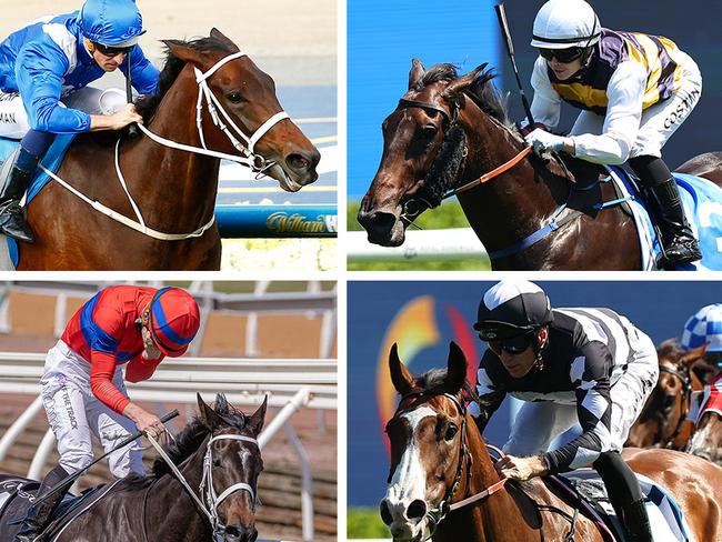 Perfumist (top right) and Disneck (bottom right) have both achieved something great mares like Winx (top left) and Verry Elleegant did during their brilliant careers ... win three races on the trot in town. Pictures: Getty Images