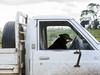 Farmers warn government on fuel efficiency standard