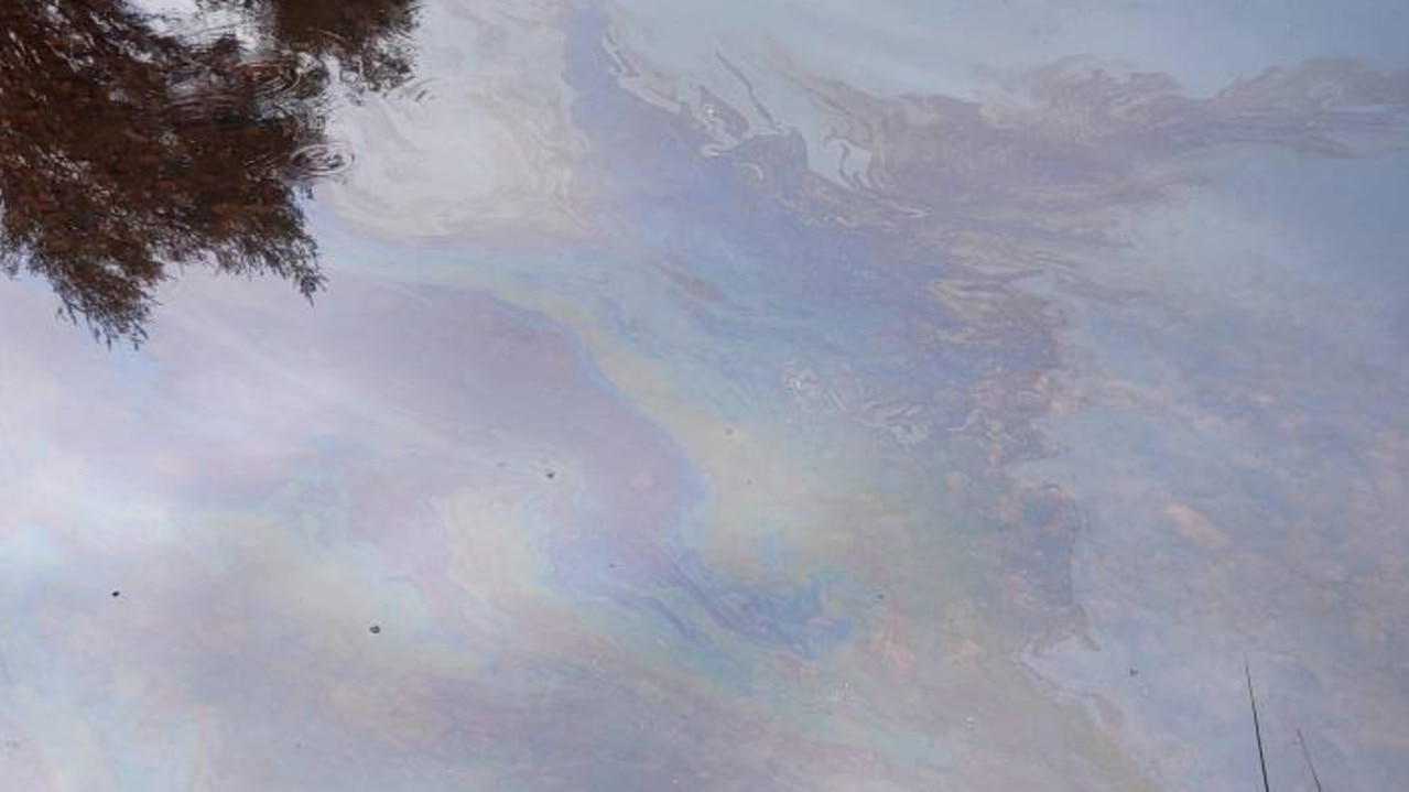 Oil slick can be seen at Lake Rosebery on 24 January 2025. Picture: Darren Briggs