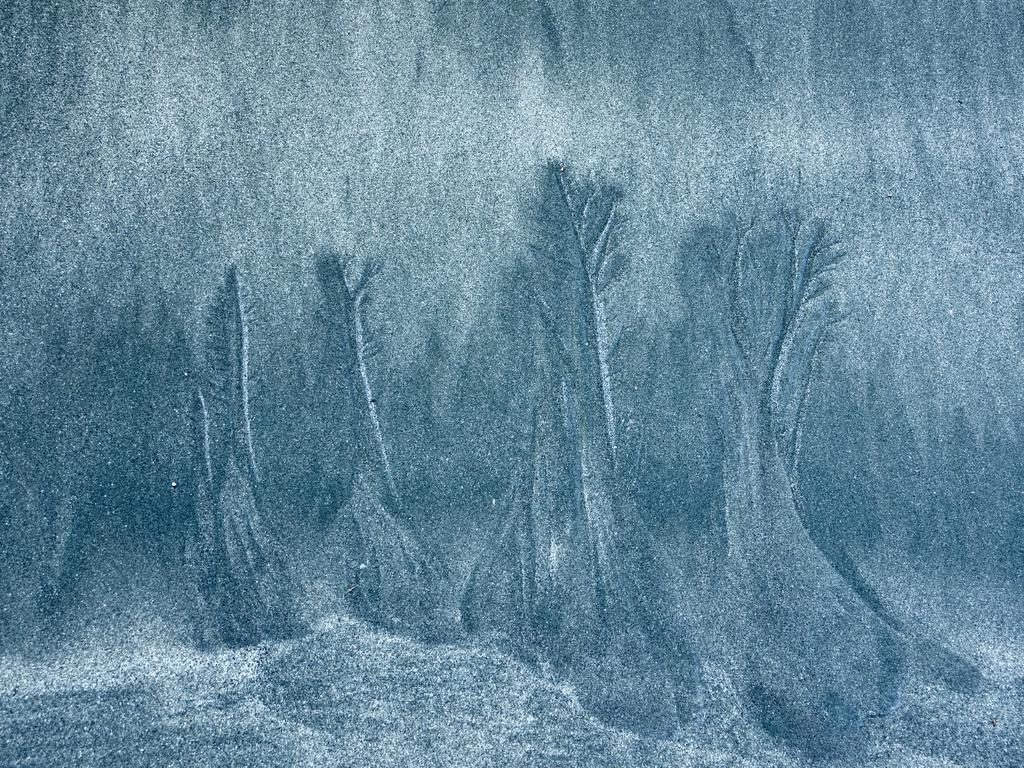 The second place pic for the lands category is called “Sand Forest”. It was taken at Gisborne, New Zealand. Picture: Hamish Ashton/TNC Oceania Photo Contest