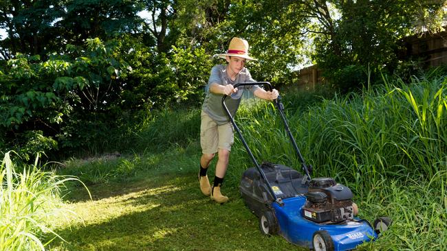 Lawns should be mowed weekly.