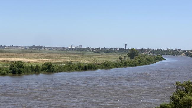 The view of the Jervois farmers members of the local Irrigation Trust are desperately trying to save from breaches in the government-owned levee. Picture: Dylan Hogaeth.