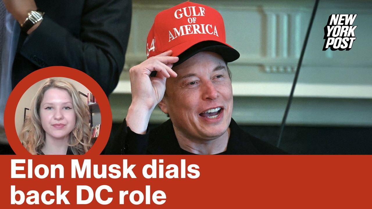 Elon Musk dials back DC role | Reporter Replay