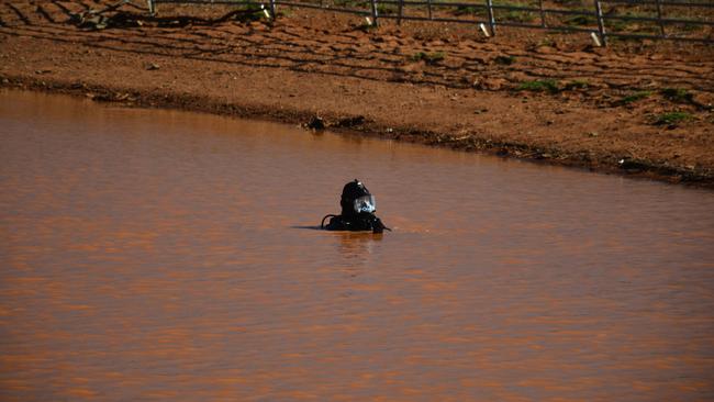 A police diver searches for missing mother Tanja Ebert at Manna Hill last week. Picture: SAPOL