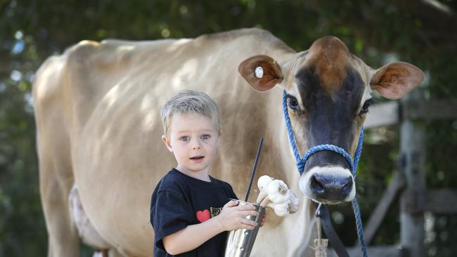 Max, 4, was surprised by the flavour of the garlic milkshake. Picture: David Caird