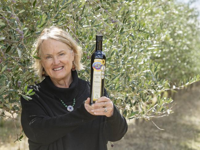 NEWS: Olive Harvest - Tina KnightOlive Harvest - Tina KnightPICTURED: Tina Knight in her olive grove on her farm near Rushworth.Picture: Zoe Phillips