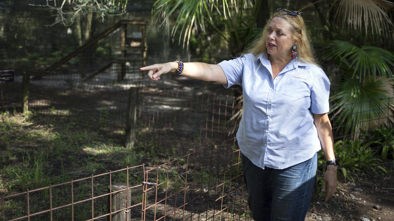 Carole Baskin, founder of Big Cat Rescue. Picture: Loren Elliott/Tampa Bay Times via AP