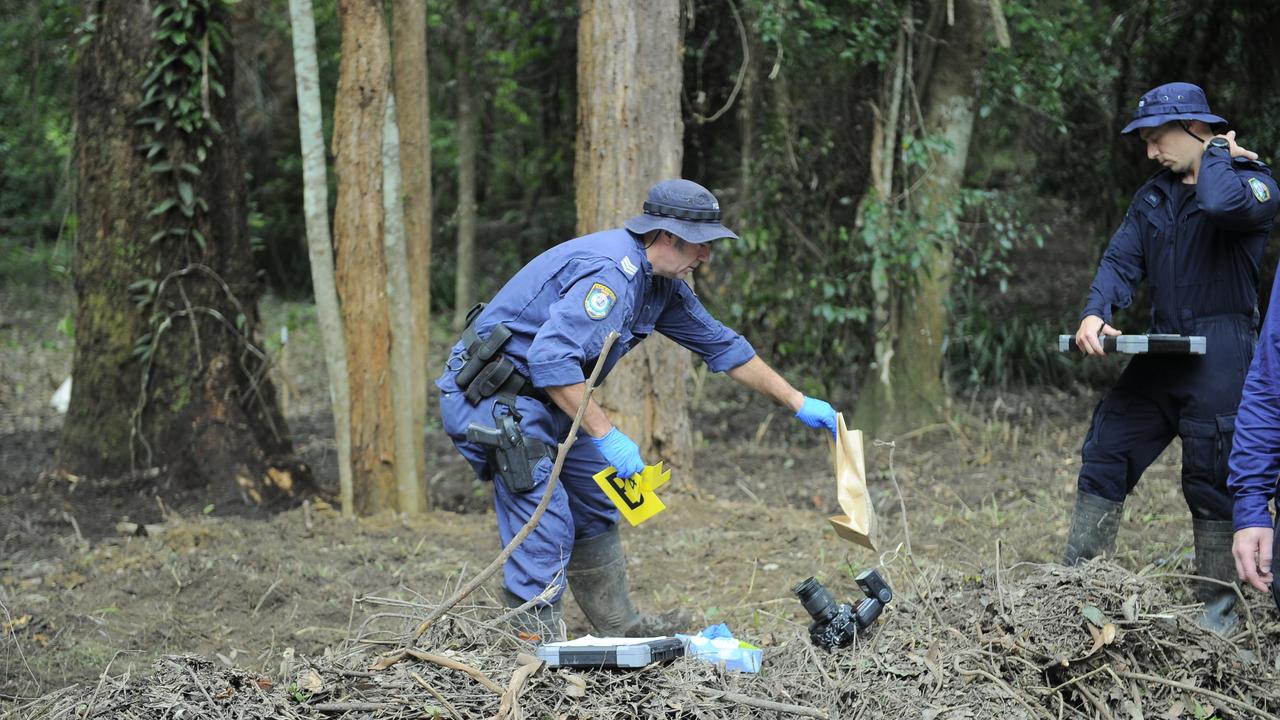 A replica pistol has been found in the search for William Tyrrell as police focus on a new area of bush.