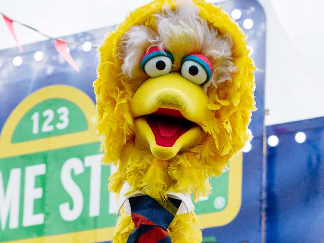 The stolen Big Bird costume has been returned to the Sesame Street Circus Spectacular at Bonython Park with an apology note in Adelaide on Wednesday, April 21, 2021. (The Advertiser/ Morgan Sette)