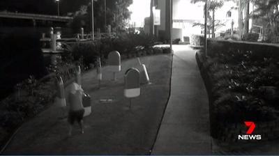 'Stupid joke' went too far with Gold Coast theft of giant paddle pop