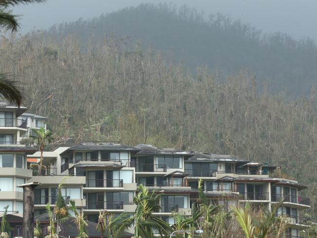 Trees stripped bare, Airlie Beach wakes to a post Cyclone Debbie world. Photographer: Liam Kidston