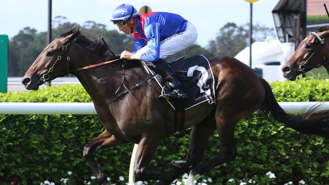 Exotic Ruby looks a good chance at odds. Picture: Grant Guy