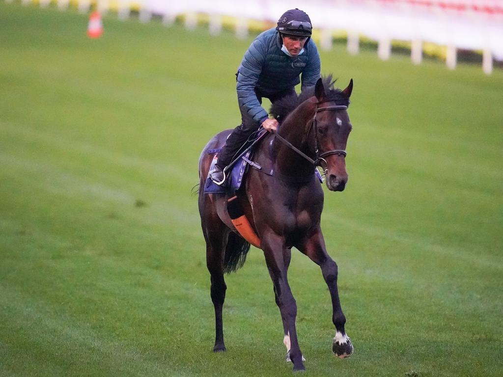 Russian Camelot ridden by Damien Oliver.