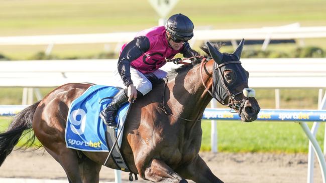 Esti Feny (HUN) ridden by Daniel Stackhouse wins the Sportsbet Mornington Cup at Mornington Racecourse on April 20, 2024 in Mornington, Australia. (Photo by Scott Barbour/Racing Photos via Getty Images)