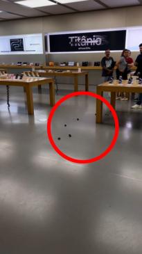 Woman takes pet pig into Apple Store to defecate