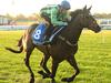 Caulfield Social sparkles for midweek punters