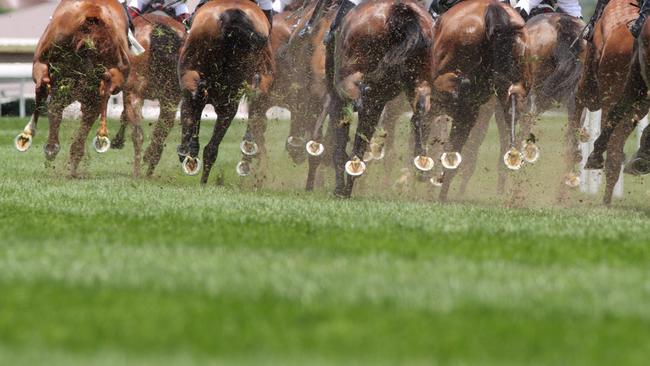 Horse racing gen pic istock