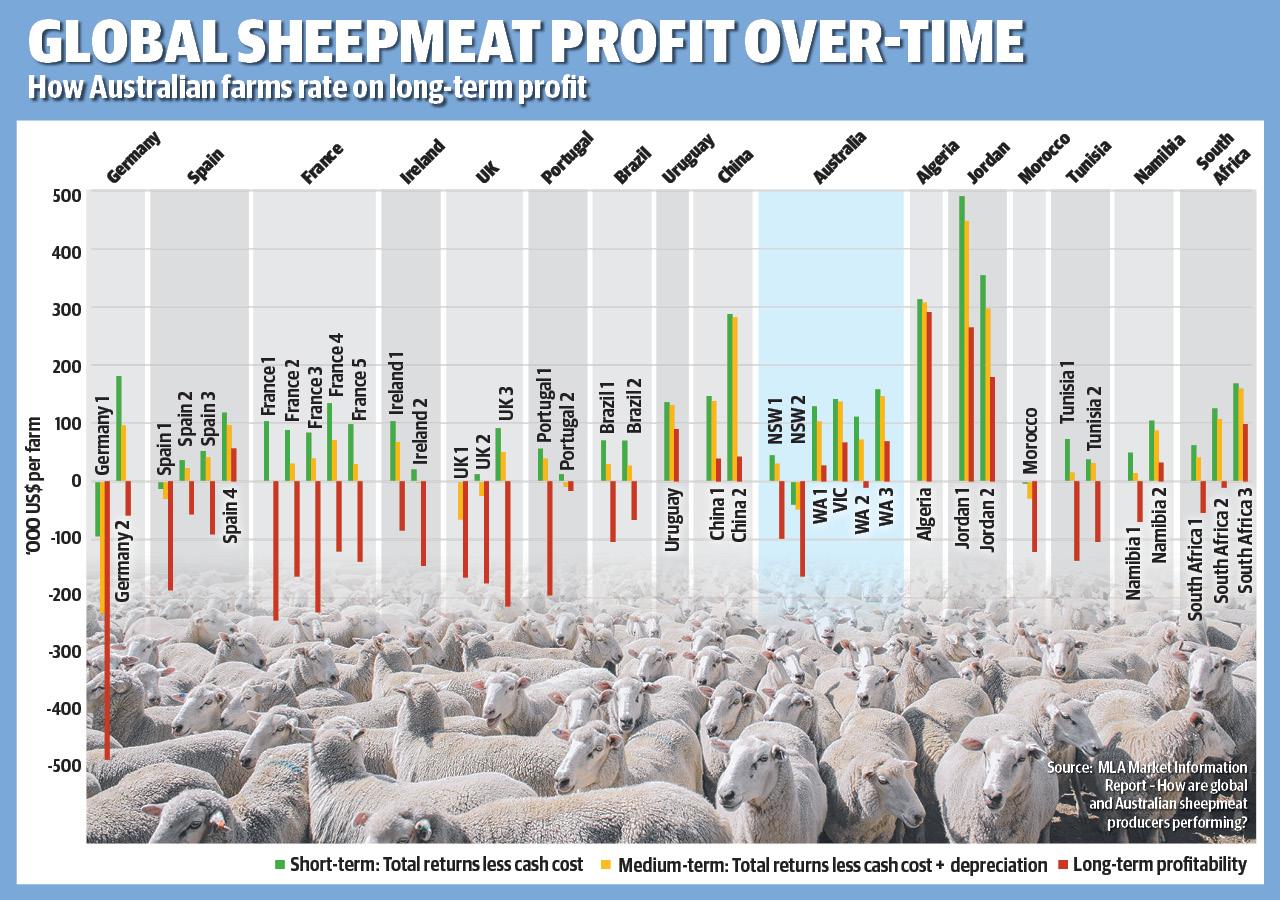 sheep-farm-profit-globally-is-strong-but-australia-ranks-sixth-highest