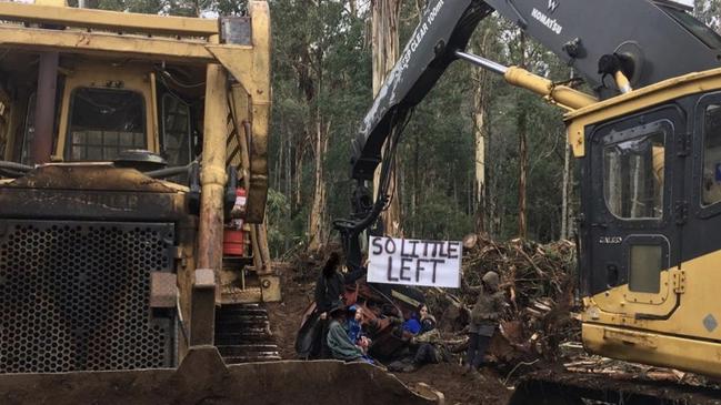 Anti-logging protesters in East Gippsland have been slammed for their dangerous tactics.