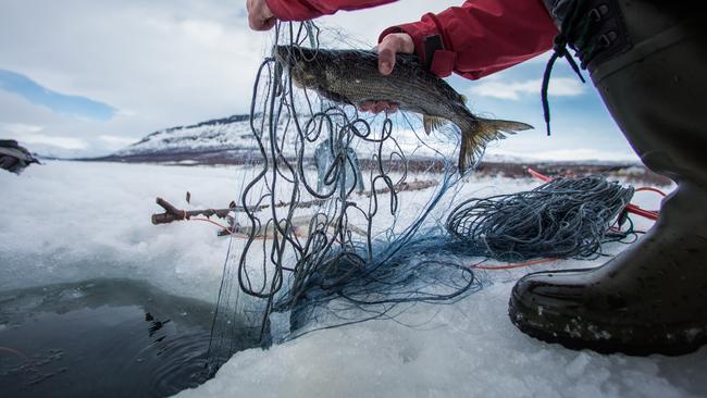 Hotel guests can choose to go ice-fishing in winter.